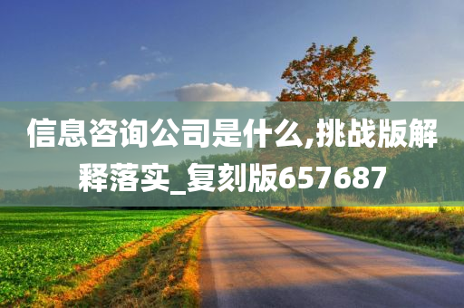 信息咨询公司是什么,挑战版解释落实_复刻版657687