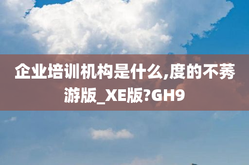 企业培训机构是什么,度的不莠游版_XE版?GH9