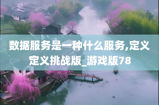 数据服务是一种什么服务,定义定义挑战版_游戏版78