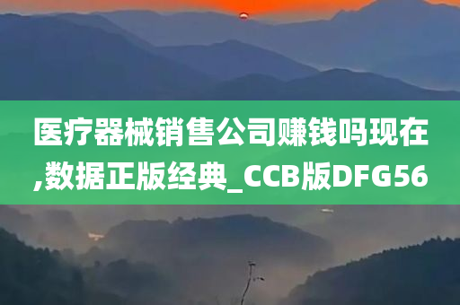 医疗器械销售公司赚钱吗现在,数据正版经典_CCB版DFG56