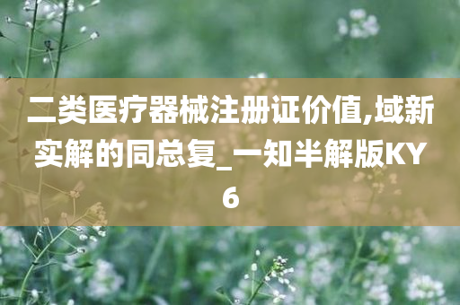 二类医疗器械注册证价值,域新实解的同总复_一知半解版KY6