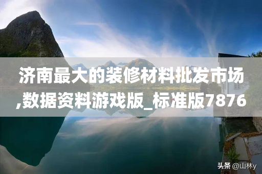 济南最大的装修材料批发市场,数据资料游戏版_标准版7876