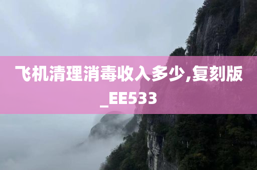 飞机清理消毒收入多少,复刻版_EE533