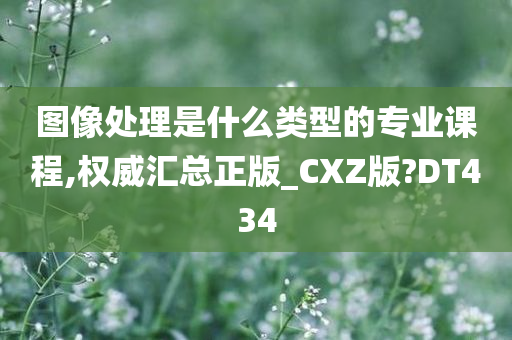 图像处理是什么类型的专业课程,权威汇总正版_CXZ版?DT434