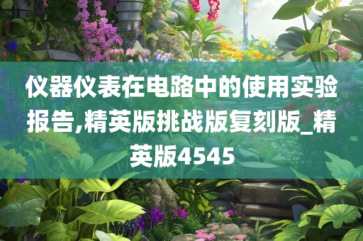 仪器仪表在电路中的使用实验报告,精英版挑战版复刻版_精英版4545