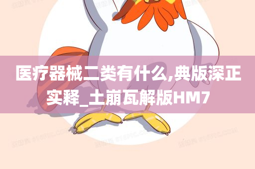 医疗器械二类有什么,典版深正实释_土崩瓦解版HM7