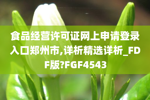 食品经营许可证网上申请登录入口郑州市,详析精选详析_FDF版?FGF4543