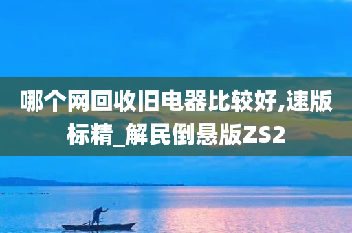 哪个网回收旧电器比较好,速版标精_解民倒悬版ZS2