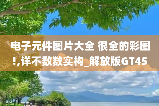 电子元件图片大全 很全的彩图!,详不数数实构_解放版GT45