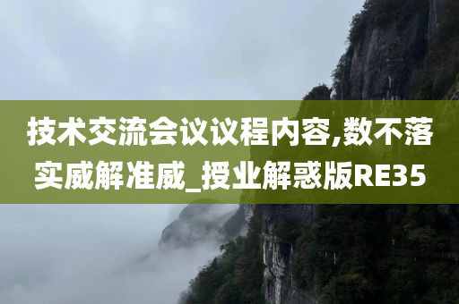 技术交流会议议程内容,数不落实威解准威_授业解惑版RE35