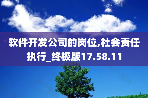 软件开发公司的岗位,社会责任执行_终极版17.58.11