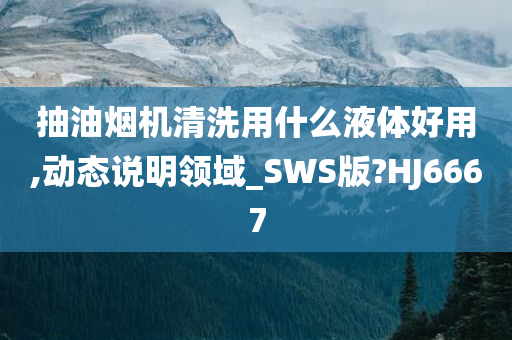 抽油烟机清洗用什么液体好用,动态说明领域_SWS版?HJ6667