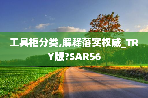 工具柜分类,解释落实权威_TRY版?SAR56