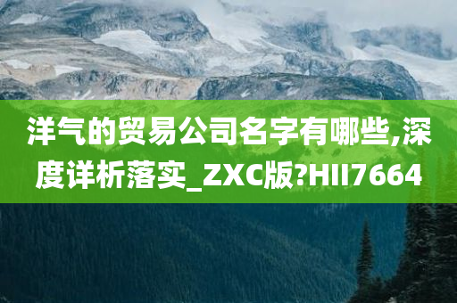 洋气的贸易公司名字有哪些,深度详析落实_ZXC版?HII7664