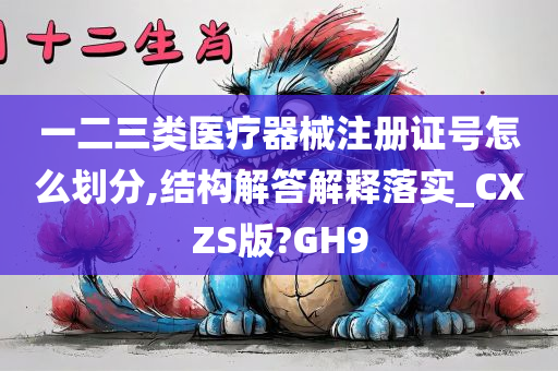 一二三类医疗器械注册证号怎么划分,结构解答解释落实_CXZS版?GH9