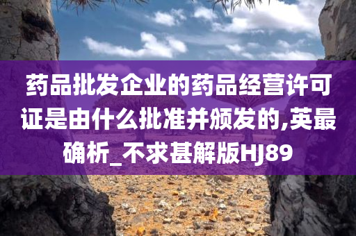 药品批发企业的药品经营许可证是由什么批准并颁发的,英最确析_不求甚解版HJ89