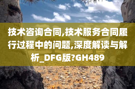 技术咨询合同,技术服务合同履行过程中的问题,深度解读与解析_DFG版?GH489