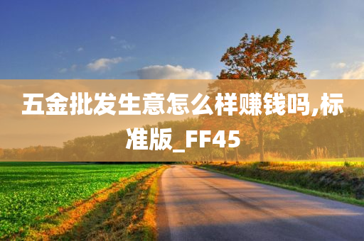 五金批发生意怎么样赚钱吗,标准版_FF45