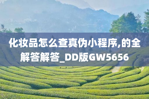 化妆品怎么查真伪小程序,的全解答解答_DD版GW5656