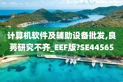 计算机软件及辅助设备批发,良莠研究不齐_EEF版?SE44565