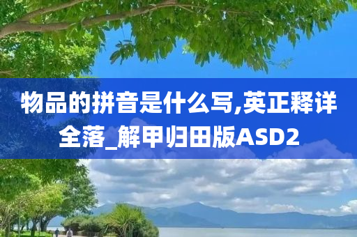 物品的拼音是什么写,英正释详全落_解甲归田版ASD2