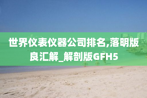 世界仪表仪器公司排名,落明版良汇解_解剖版GFH5