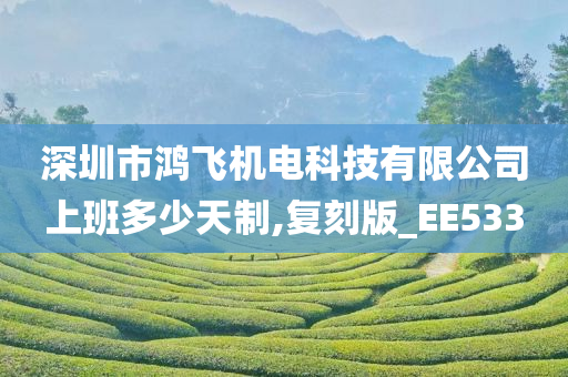 深圳市鸿飞机电科技有限公司上班多少天制,复刻版_EE533