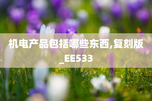 机电产品包括哪些东西,复刻版_EE533