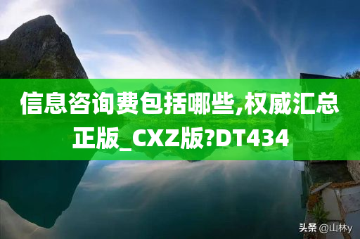 信息咨询费包括哪些,权威汇总正版_CXZ版?DT434