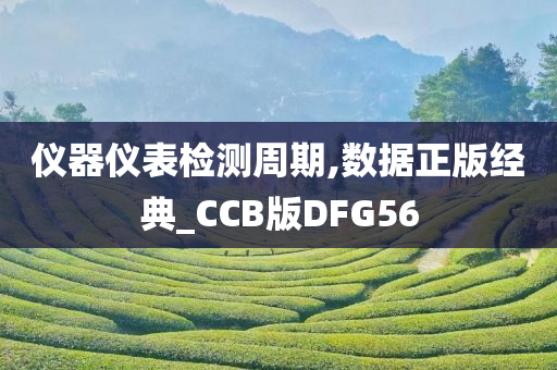 仪器仪表检测周期,数据正版经典_CCB版DFG56