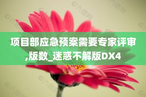 项目部应急预案需要专家评审,版数_迷惑不解版DX4