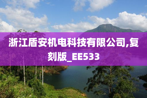 浙江盾安机电科技有限公司,复刻版_EE533