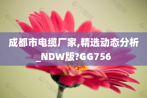 成都市电缆厂家,精选动态分析_NDW版?GG756