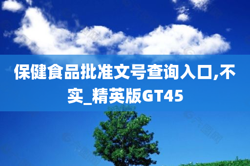 保健食品批准文号查询入口,不实_精英版GT45