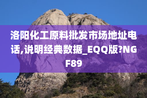 洛阳化工原料批发市场地址电话,说明经典数据_EQQ版?NGF89