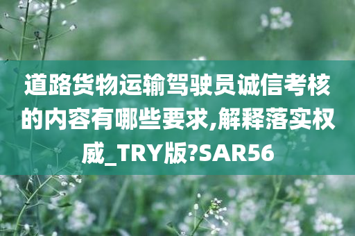 道路货物运输驾驶员诚信考核的内容有哪些要求,解释落实权威_TRY版?SAR56