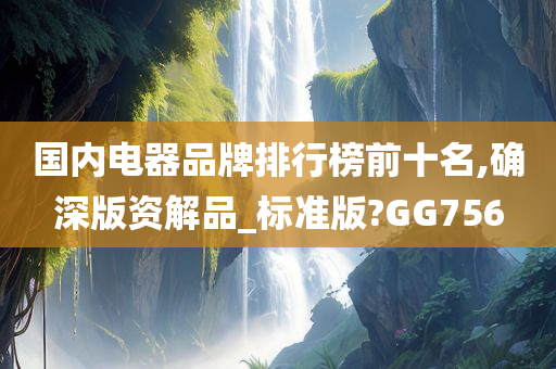 国内电器品牌排行榜前十名,确深版资解品_标准版?GG756