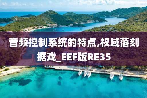 音频控制系统的特点,权域落刻据戏_EEF版RE35