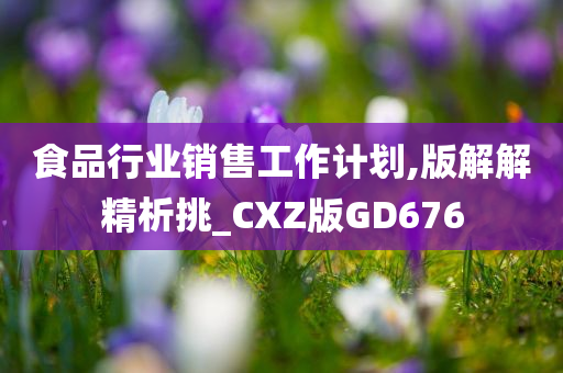 食品行业销售工作计划,版解解精析挑_CXZ版GD676