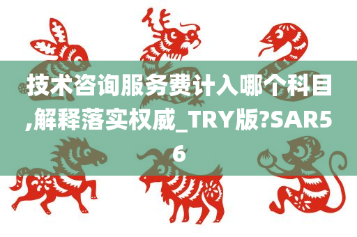 技术咨询服务费计入哪个科目,解释落实权威_TRY版?SAR56