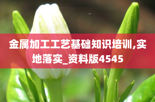 金属加工工艺基础知识培训,实地落实_资料版4545