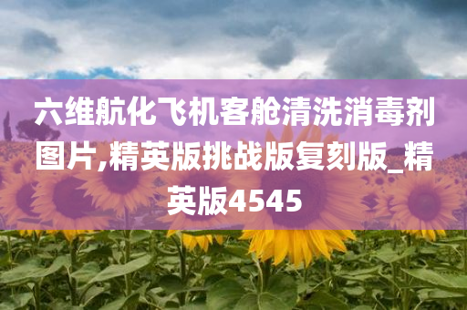 六维航化飞机客舱清洗消毒剂图片,精英版挑战版复刻版_精英版4545