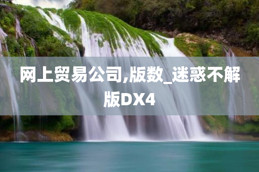 网上贸易公司,版数_迷惑不解版DX4