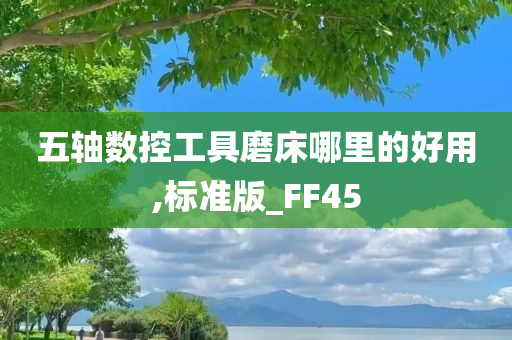 五轴数控工具磨床哪里的好用,标准版_FF45