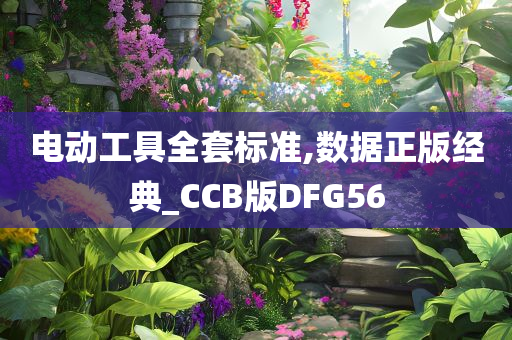 电动工具全套标准,数据正版经典_CCB版DFG56