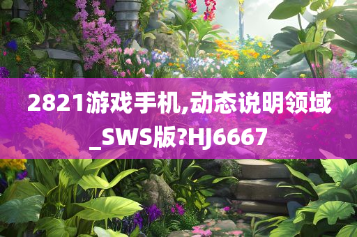 2821游戏手机,动态说明领域_SWS版?HJ6667