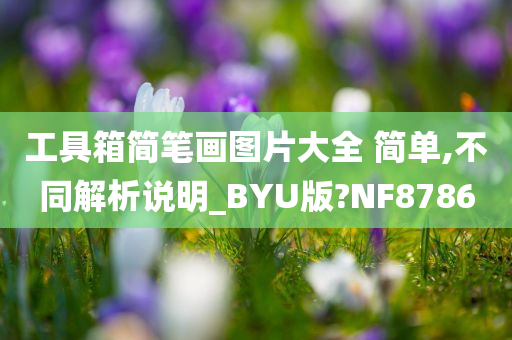 工具箱简笔画图片大全 简单,不同解析说明_BYU版?NF8786