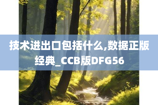 技术进出口包括什么,数据正版经典_CCB版DFG56