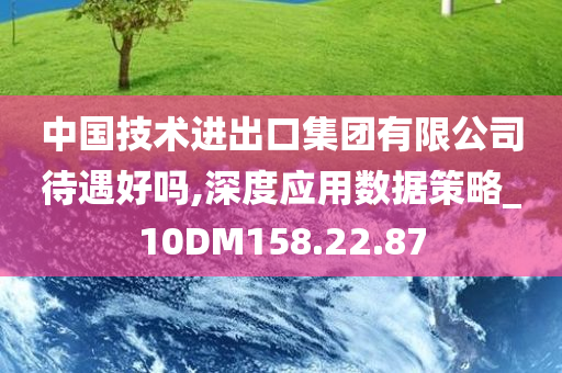 中国技术进出口集团有限公司待遇好吗,深度应用数据策略_10DM158.22.87