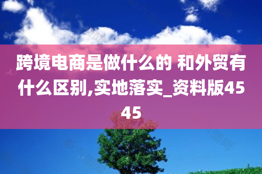 跨境电商是做什么的 和外贸有什么区别,实地落实_资料版4545